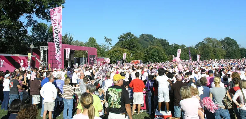 A crowd seen from behind at an outdoor breast cancer walk, many wearing pink