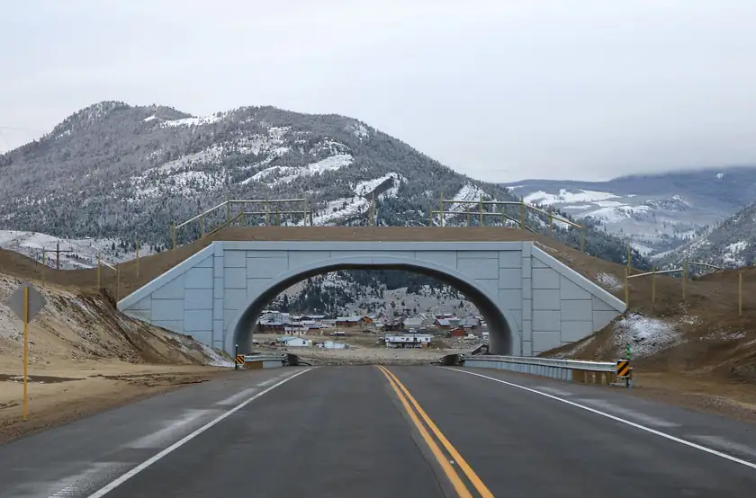 A vegetated wildlife bridge crossing a highway, with no people on the span