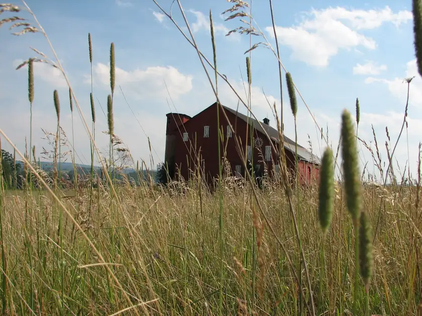 A green farm field with trees and low hills in Somerset County, Pennsylvania