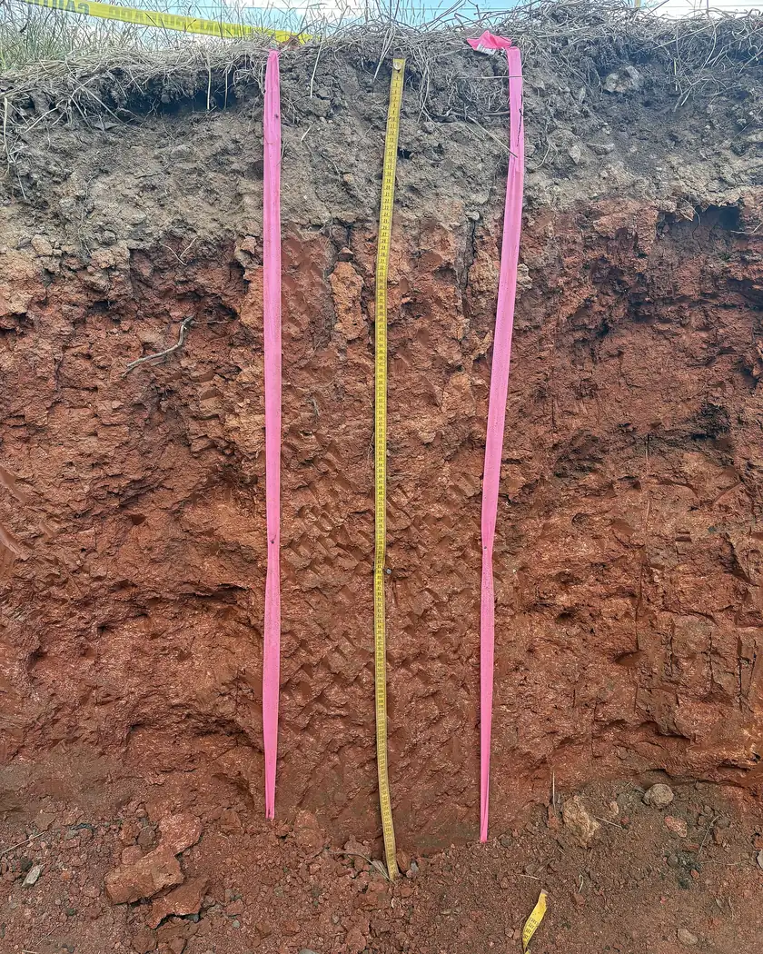 A vertical cut of soil showing distinct layers from dark topsoil down to lighter subsoil